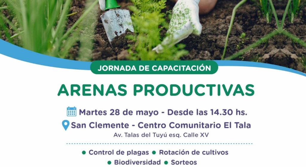 WhatsApp-Image-2024-05-24-at-4.13.37-PM