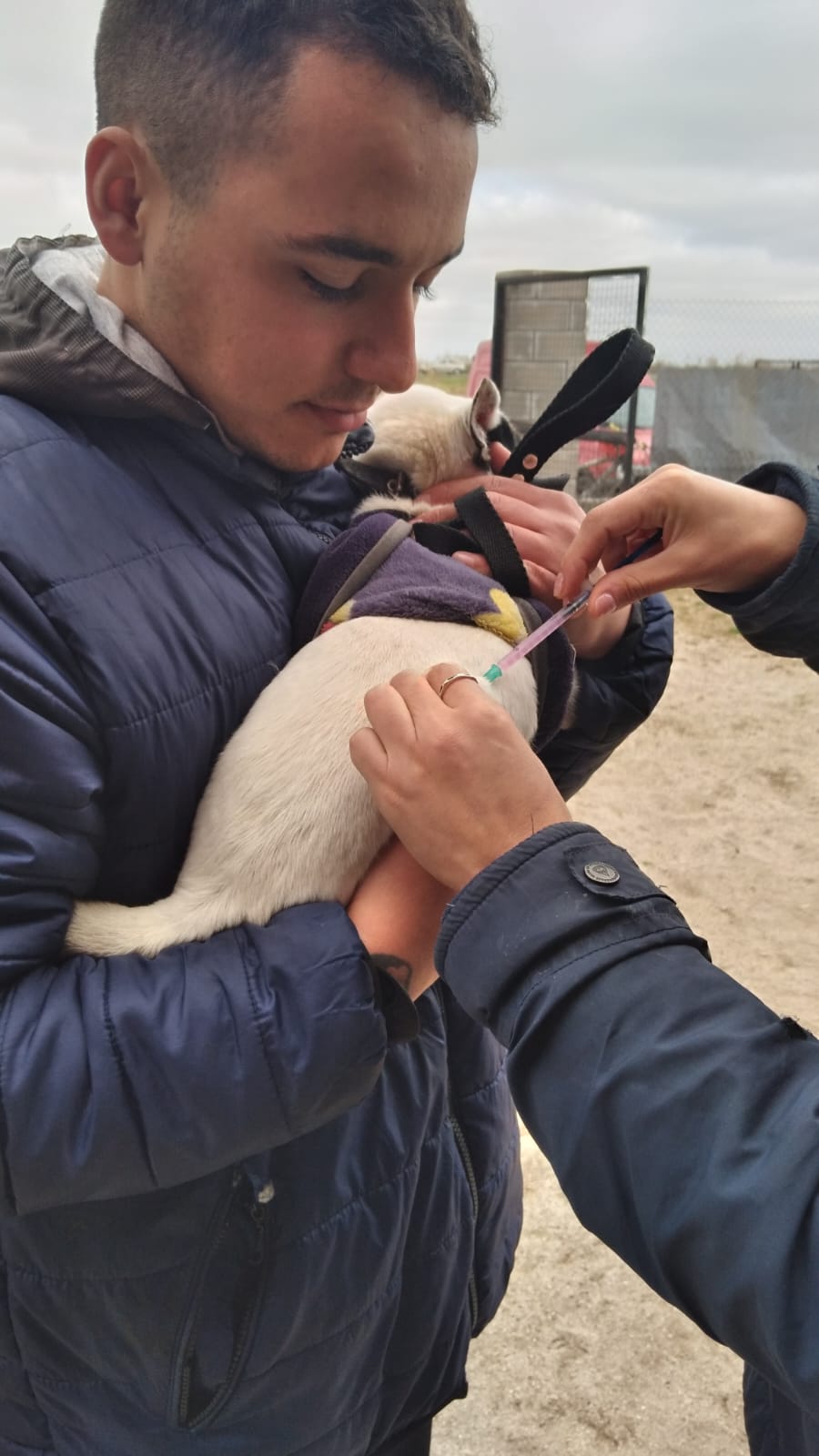 WhatsApp-Image-2024-08-20-at-5.39.12-PM