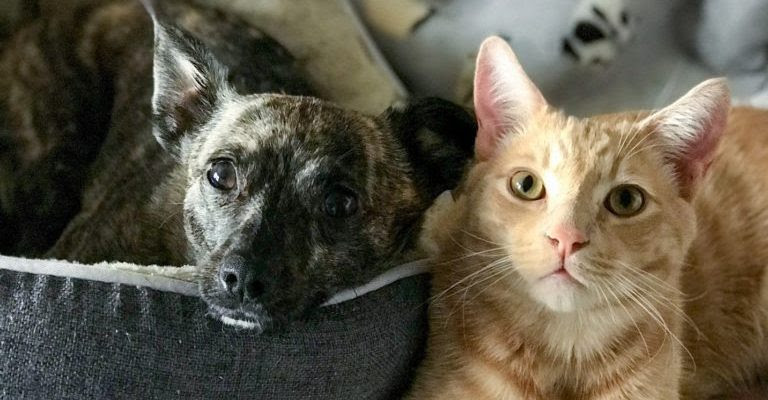 WhatsApp-Image-2024-05-21-at-10.15.21