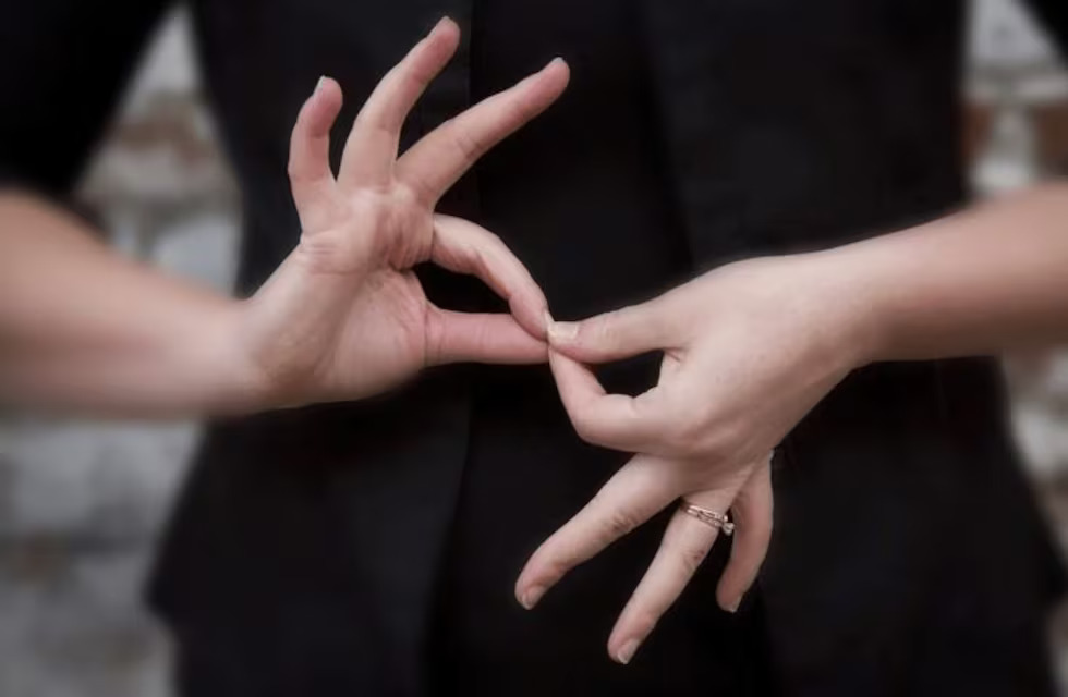 WhatsApp-Image-2024-09-13-at-3.03.22-PM