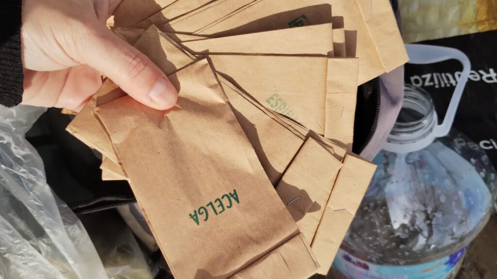 WhatsApp-Image-2024-09-17-at-5.28.28-PM-1