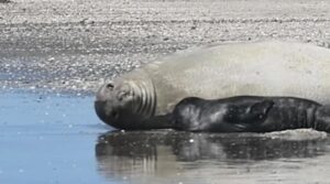 WhatsApp-Image-2024-10-15-at-11.08.13