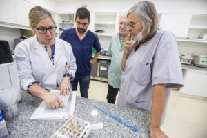 WhatsApp-Image-2024-11-04-at-11.04.30-4