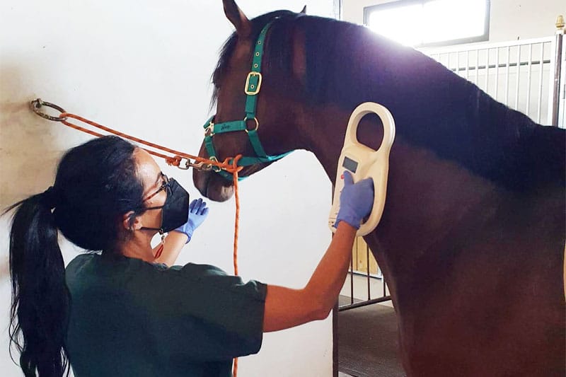 WhatsApp-Image-2024-11-12-at-11.40.40