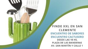 WhatsApp-Image-2024-11-13-at-09.46.35