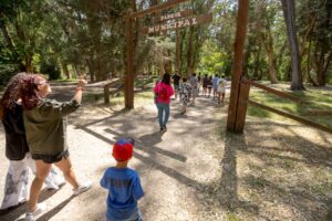 WhatsApp-Image-2024-11-14-at-13.00.41