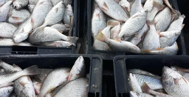 unnamed-6-7-774x400-1