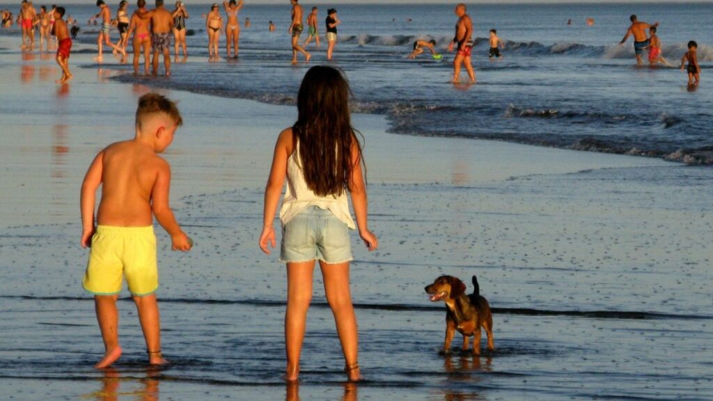 WhatsApp-Image-2025-01-15-at-11.52.47