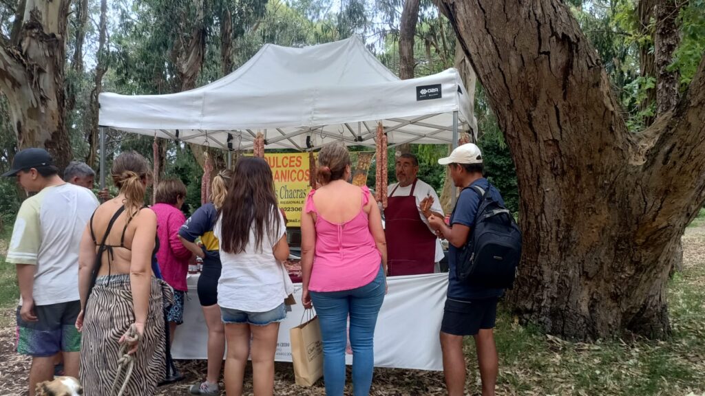 WhatsApp-Image-2025-01-21-at-12.31.00