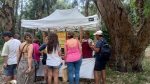 WhatsApp-Image-2025-01-21-at-12.31.00