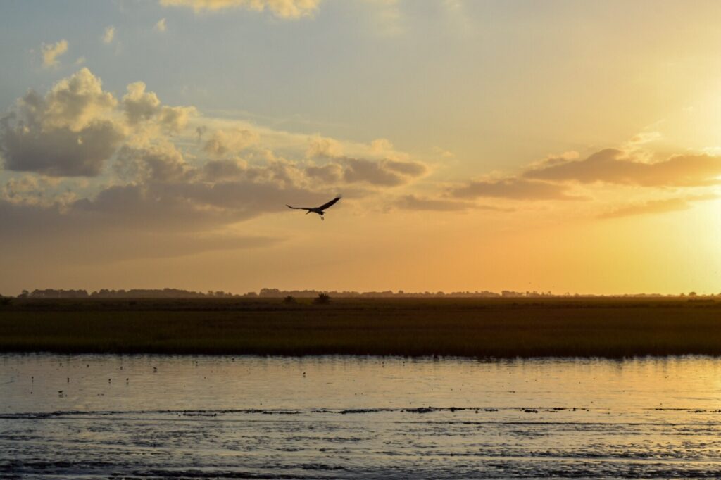 WhatsApp-Image-2025-01-24-at-12.03.47-PM