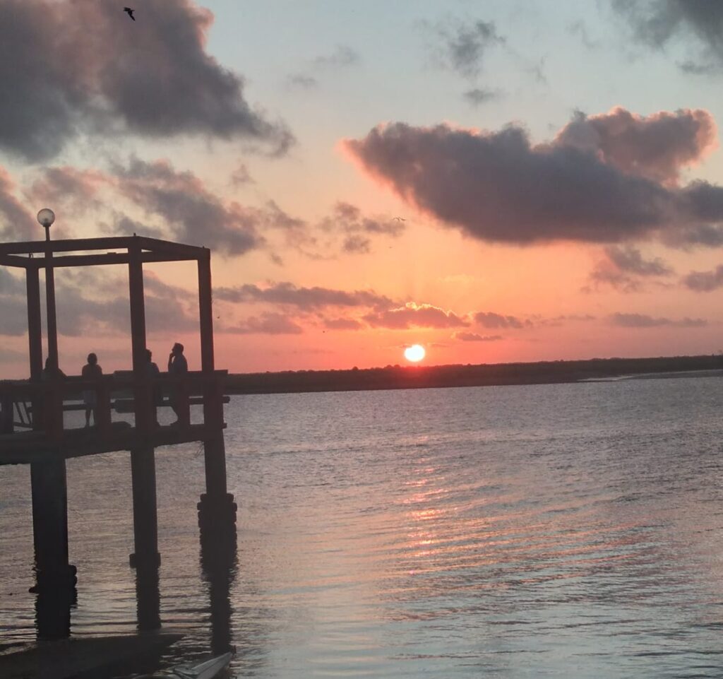 WhatsApp-Image-2025-01-31-at-6.37.29-PM