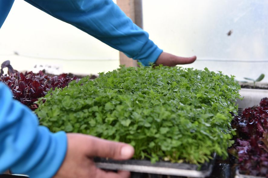 WhatsApp-Image-2025-03-27-at-3.32.30-PM