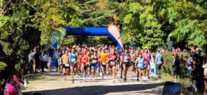 WhatsApp-Image-2025-04-16-at-42127-PM