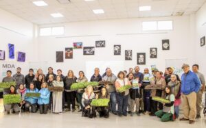 Portada-platines-scaled-1