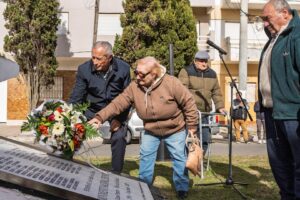 c3c05356-2d65-4022-94df-ec53e72306f7