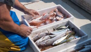 WhatsApp-Image-2025-07-21-at-111845