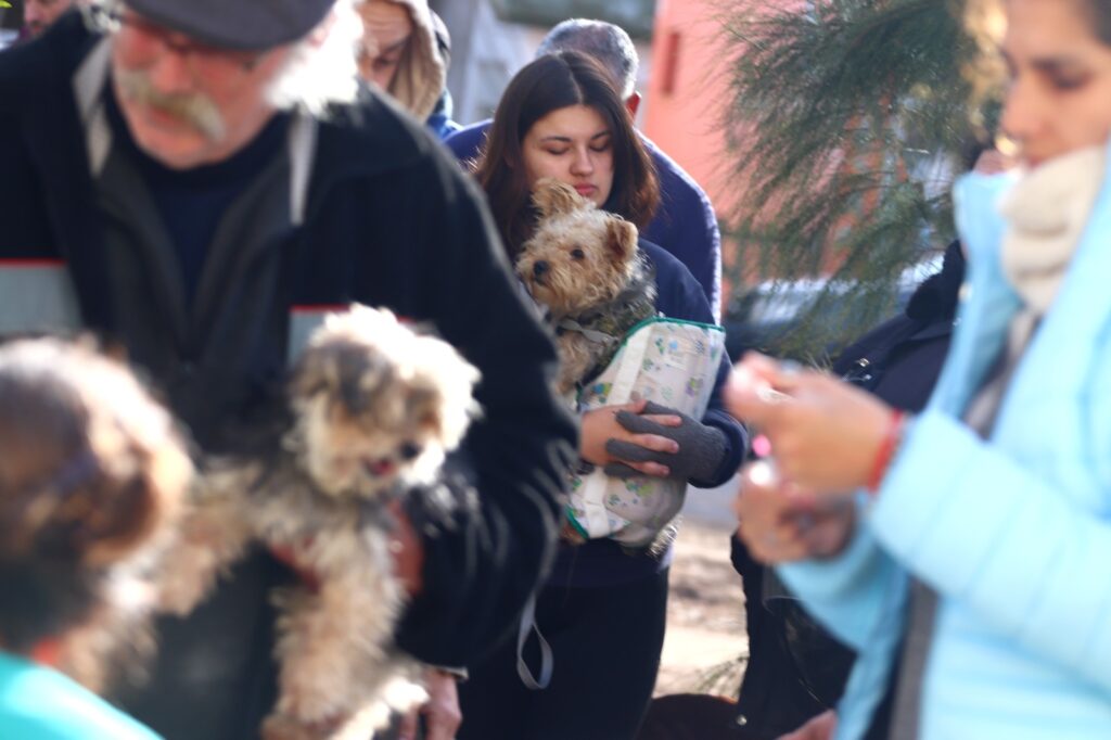 WhatsApp-Image-2025-07-29-at-51646-PM