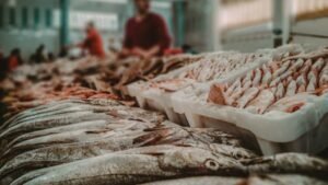 WhatsApp-Image-2025-08-07-at-103013