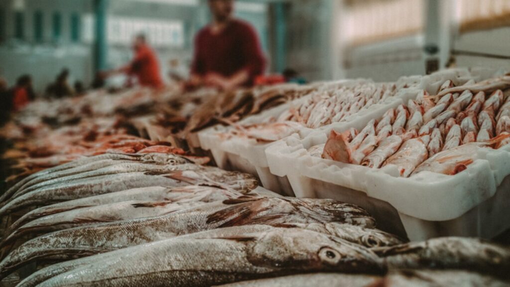 WhatsApp-Image-2025-08-07-at-103013