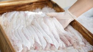 WhatsApp-Image-2025-08-21-at-102745