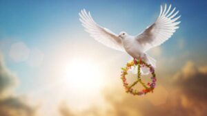 WhatsApp-Image-2025-09-12-at-72156-PM