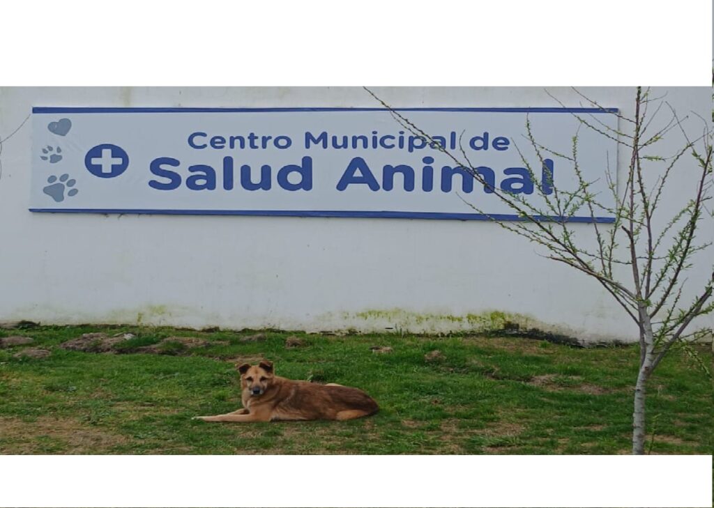 WhatsApp-Image-2025-09-15-at-111714