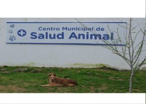 WhatsApp-Image-2025-09-15-at-111714