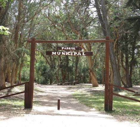 WhatsApp-Image-2025-09-18-at-113511