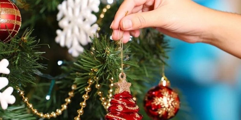 WhatsApp-Image-2025-12-10-at-115308-AM