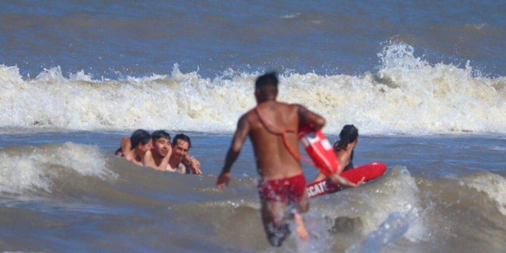 WhatsApp-Image-2025-12-26-at-10202-PM