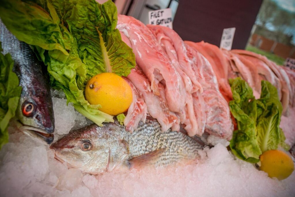 WhatsApp-Image-2026-01-02-at-110415-AM