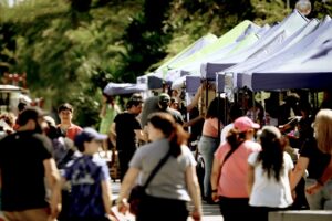 WhatsApp-Image-2026-01-02-at-163341