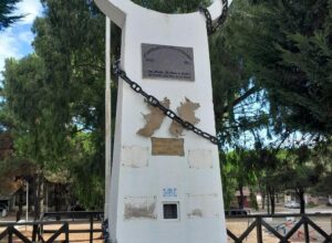 WhatsApp-Image-2026-02-06-at-22200-PM