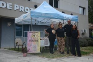 29e3d6de-266f-4048-9142-d20149239169