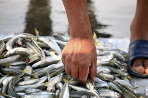 WhatsApp-Image-2026-03-02-at-123212