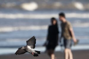 WhatsApp-Image-2026-04-01-at-163050