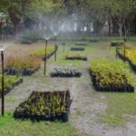 Habrá dos talleres abiertos y entrega de composteras