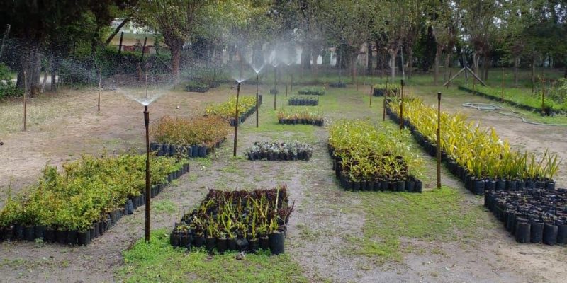 WhatsApp-Image-2026-04-17-at-122252-PM